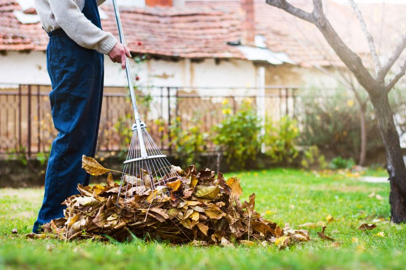 Maintaining a Pristine Yard