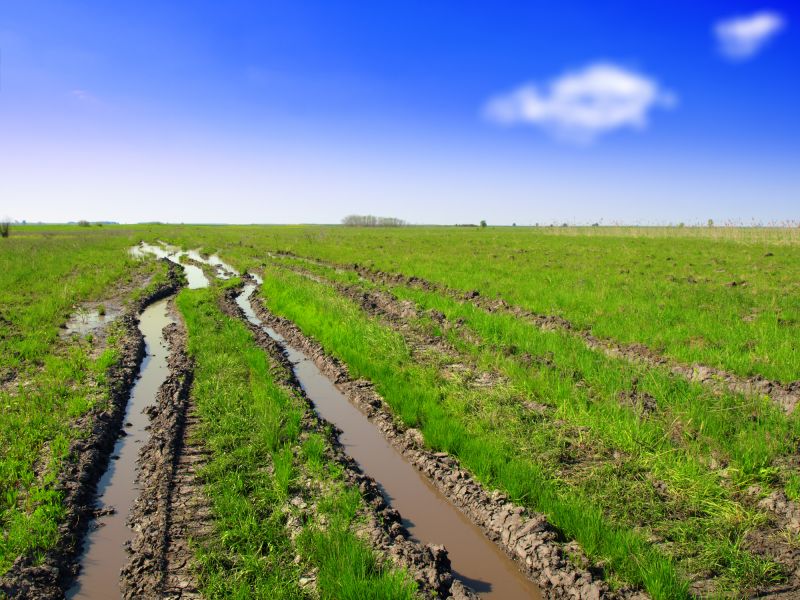 Before and After Lawn Leveling