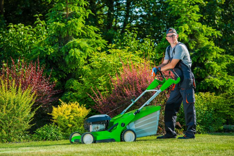 Specialized Lawn Leveling Services