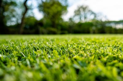 A Level Lawn Provides Opportunities for Lawn Usage!
